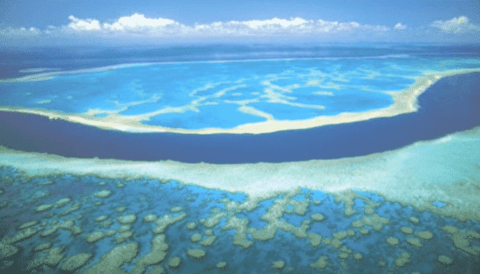la barriera corallina australiana